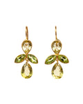 Fuchsia Earrings