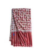 Burgundy Swirl Lt Blue Cashmere Pashmina Shawl