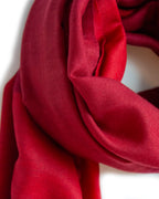 Ombre Red Cashmere Pashmina Shawl